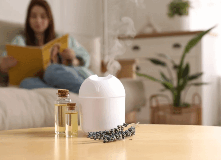 실내 환경을 편안하게 만드는 습도의 역할